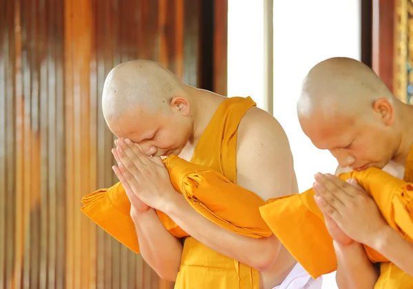 Ordinationszeremonie, die die thailändischen jungen Männer zu den neuen — Stockfoto