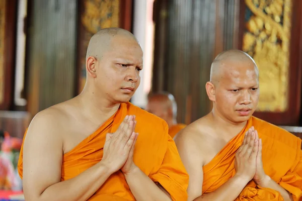 Ordinationszeremonie, die die thailändischen jungen Männer zu den neuen — Stockfoto