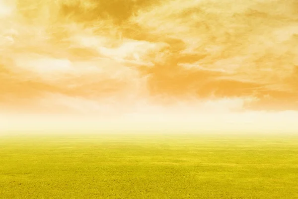 Grass field with sky at sunset — Stock Photo, Image