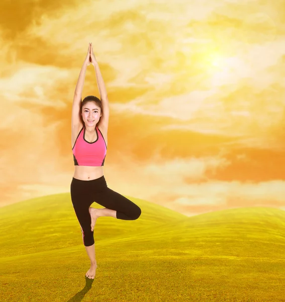Mulher fazendo exercício de ioga na grama com o céu ao pôr do sol — Fotografia de Stock