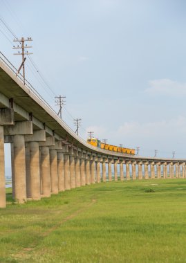 Demiryolu köprüsünde tren