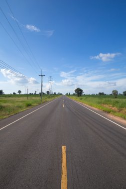 asfalt yol ile yeşil alan