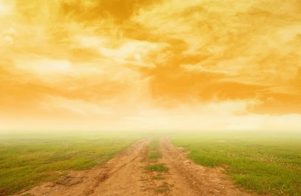 Soil road between grass field — Stock Photo, Image