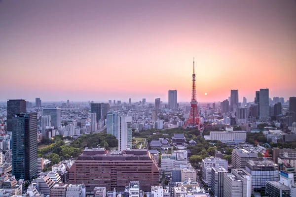 Tokyo stadens silhuett i solnedgången, Japan — Stockfoto