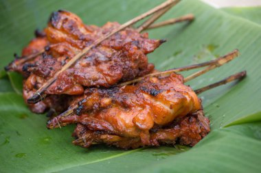 Izgara tavuk kemikleri