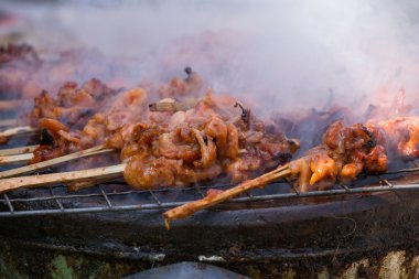 Izgara tavuk kemikleri