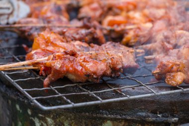 Izgara tavuk kemikleri