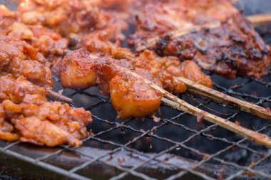 Izgara tavuk kemikleri
