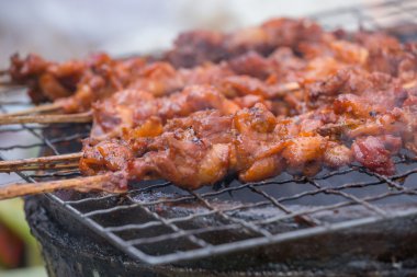 Izgara tavuk kemikleri