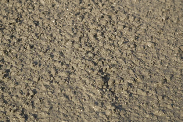 Tekstur mortir segar. Semen basah — Stok Foto