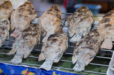 taze lezzetli ızgara balık, tilapia, Nil balık tuz ile