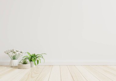 Boş oda. Beyaz duvarlar. Güzel bitkiler. 3D döşemede.