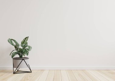 Boş oda. Beyaz duvarlar. Güzel bitkiler. 3D döşemede.