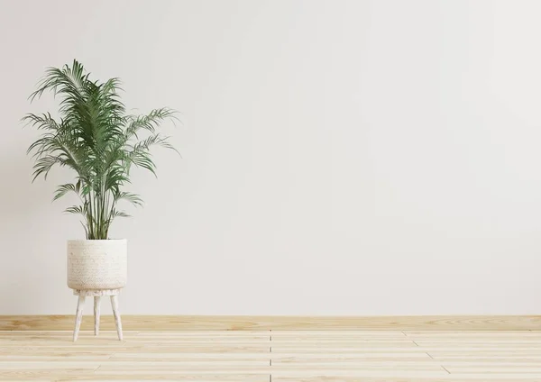 Habitación Vacía Paredes Blancas Con Hermosas Plantas Lado Representación Floor — Foto de Stock