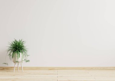 Boş oda. Beyaz duvarlar. Güzel bitkiler. 3D döşemede.