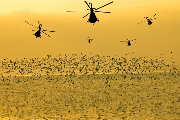 Sziluettjét a katonai helikopter, mozgó égbe naplementekor — Stock Fotó