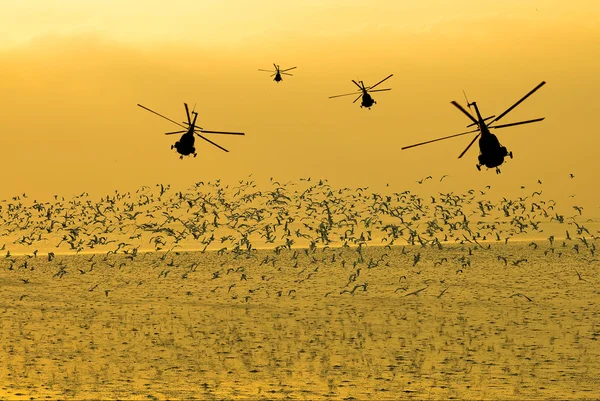 夕暮れ時の空に移動軍用ヘリコプターのシルエット — ストック写真