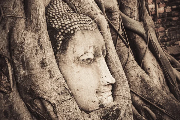 Head of sand Buddha statue in the tree roots at Travel Essentials Wat Mahathat, Ayutthaya, Thailand — Stock Photo, Image