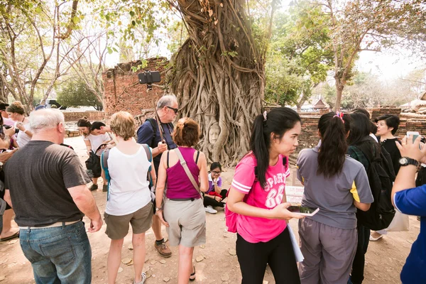 Ayutthaya, Thailand - 21 februari 2016: Huvud av sandsten Buddha i trädens rötter på Wat Mahathat, detta är en fantastisk attraktion i Ayutthaya och blev världsarv av Unesco på Ayutthaya, Thailand — Stockfoto