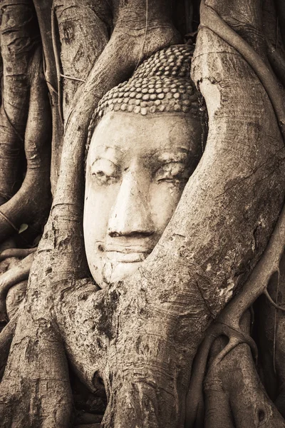 Head of sand Buddha statue in the tree roots at Travel Essentials Wat Mahathat, Ayutthaya, Thailand — Stock Photo, Image
