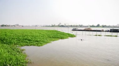 Kum tanker kalış yakınındaki su sümbül Chao Phraya River, Tayland zaman atlamalı sahneleri: Ultra Hd 4k yüksek kaliteli görüntüleri boyutu (3840 x 2160)