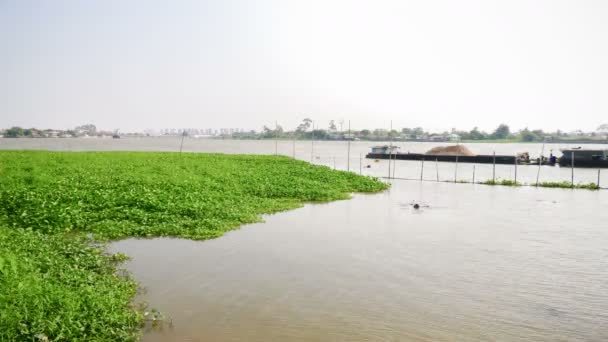 Sand tanker stay near water hyacinth in the Chao Phraya river, Thaïlande time lapse scènes : Ultra HD 4K Taille de la vidéo de haute qualité (3840x2160 ) — Video