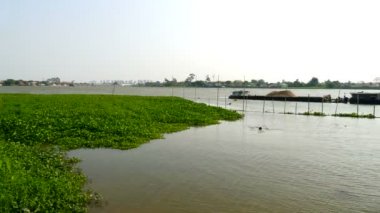 Kum tanker kalış yakınındaki su sümbül Chao Phraya River, Tayland zaman atlamalı sahneleri: Ultra Hd 4k yüksek kaliteli görüntüleri boyutu (3840 x 2160)