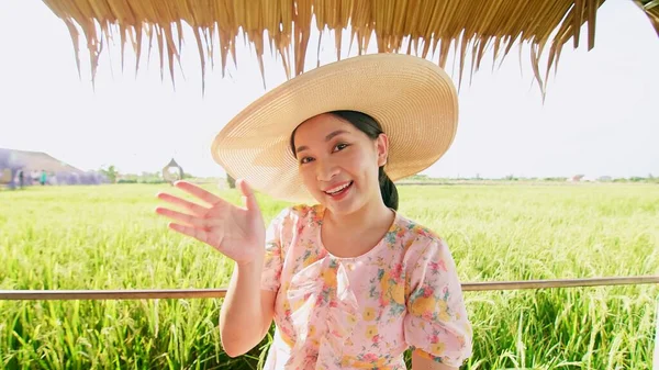 Frau Mit Hut Bei Videoanruf Zeigt Reisfeld Mit Glücklichem Sommertag Stockbild