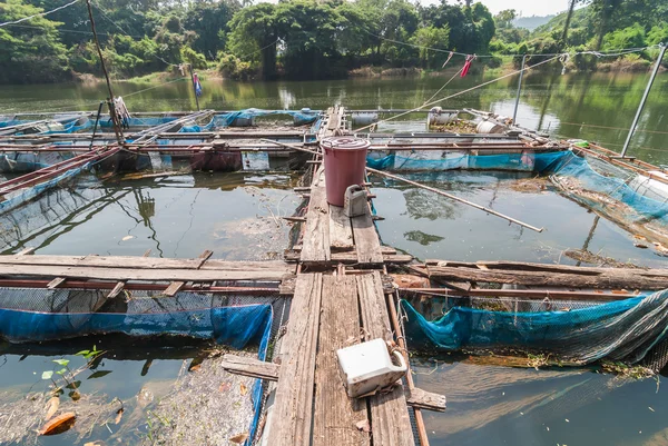El gallinero de piscifactoría en el río de Tailandia — Foto de Stock