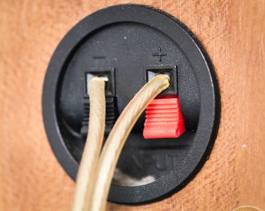 Hoparlörün arkasına bağlı ses kabloları. 