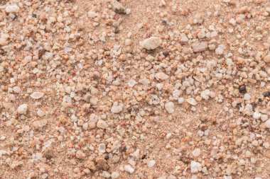 Kum dokusu. Arka plan için kumsal. Üst görünüm