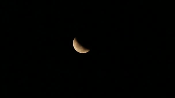 Eclipse lunar — Vídeos de Stock