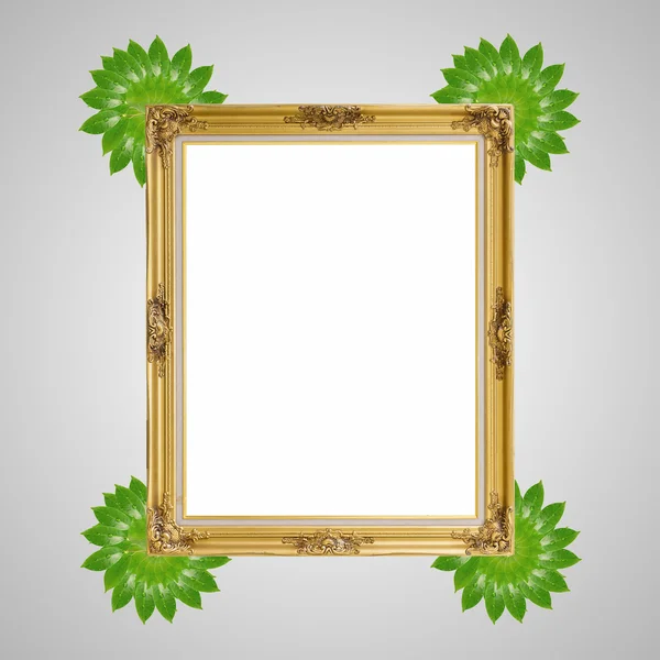 Goud louise en bladeren foto frame geïsoleerd witte achtergrond — Stockfoto