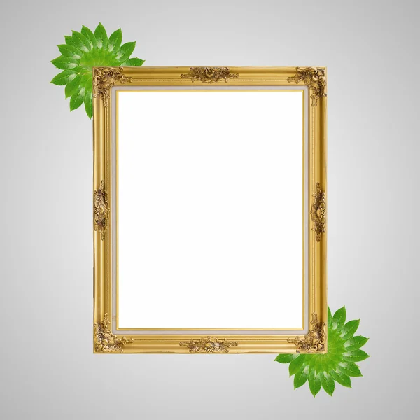 金路易丝和树叶照片框架孤立白色背景 — 图库照片