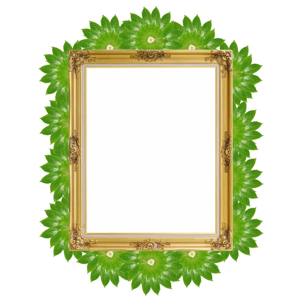 Goud louise en bladeren foto frame geïsoleerd witte achtergrond — Stockfoto