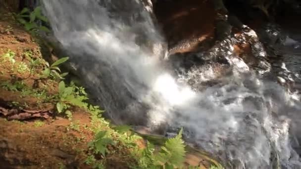 Stream vattenfall närbild i naturen, PA Chareon Waterfall National Park i Thailand — Stockvideo