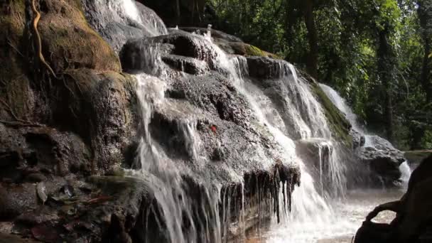 Close-up tiro de fluxo de água ou cachoeira, Full HD — Vídeo de Stock