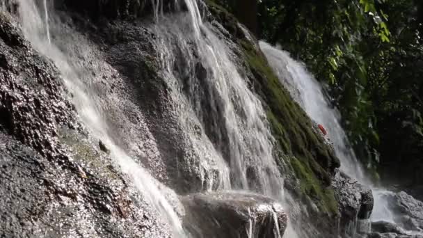 Primer plano de flujo de agua o cascada, Full HD — Vídeo de stock