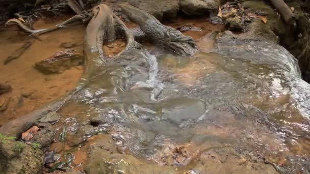 Закрыть снимок потока воды или водопада, Full HD — стоковое видео
