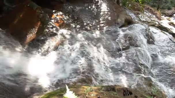 水の流れや滝、フル Hd のショットを閉じる — ストック動画