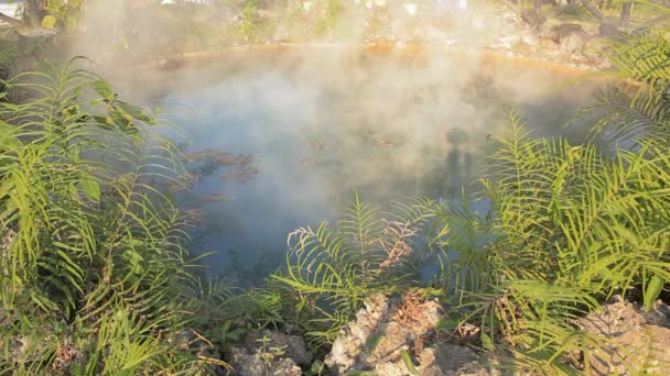 Hot springs i Thailand — Stockvideo