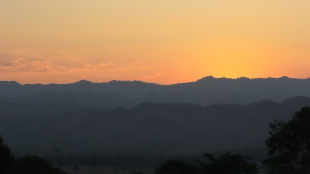 Tramonto con albero solitario, cielo di colore con vento in movimento — Video Stock