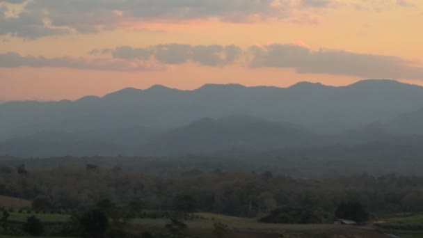 Tramonto con albero solitario, cielo di colore con vento in movimento — Video Stock