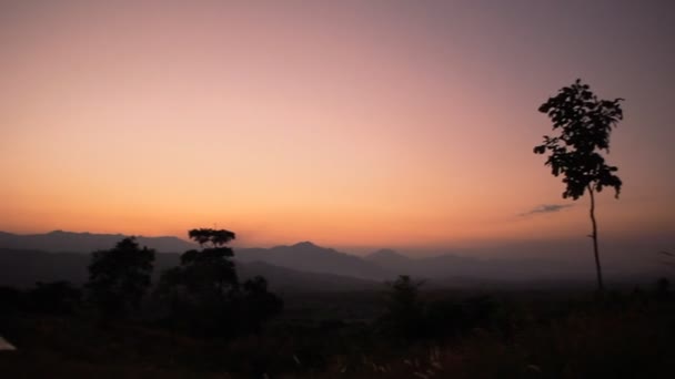 Sunset with lonely tree,color sky with moving wind — Stock Video