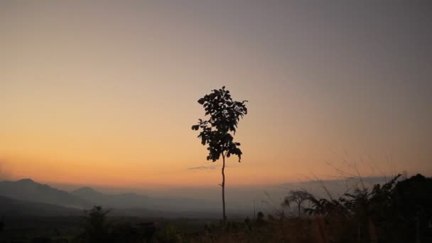 Ηλιοβασίλεμα με μοναχικό δέντρο, ουρανό χρώμα με την κίνηση του αέρα — Αρχείο Βίντεο