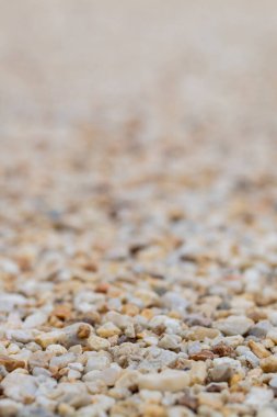 Discover intricate textures and colors of pebbles in this stunning nature macro .