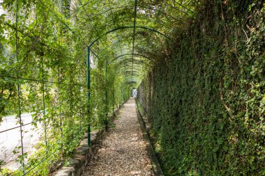 Bereketli yeşilliklerle çevrili huzurlu bir bahçe yolu doğaya huzurlu bir kaçış sunuyor..