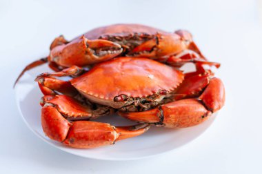 Taze hasat edilmiş yengeçler canlı renklerini ve doğal yaşam alanlarını sergilemek için mutfak kullanımına hazırlar..