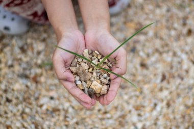 Bir çocuk, doğanın güzelliğini ve çevresel bakımın önemini vurgulayan taşlar ve otlar toplar..