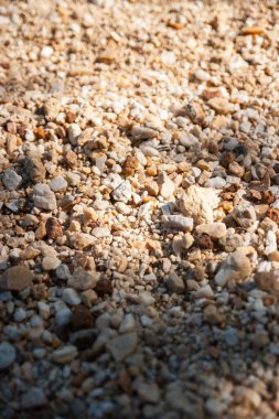 Kumlu arazinin detaylı bir yakın çekimi doğal manzaranın eşsiz dokularını ve renklerini vurgular.